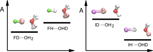 Positional Isotope Exchange in HX·(H2O)n (X = F, I) Clusters at Low Temperatures