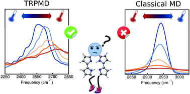 Temperature dependence of the vibrational spectrum of porphycene: a qualitative  failure of classical-nuclei molecular dynamics