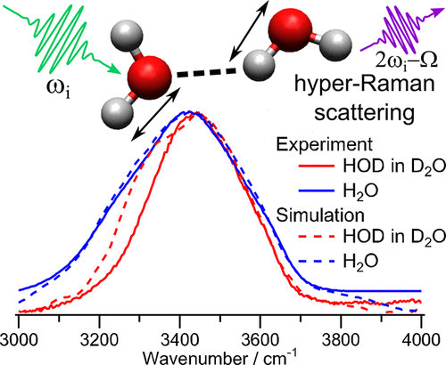 Is Unified Understanding of Vibrational Coupling of Water Possible? Hyper-Raman  Measurement and Machine Learning Spectra