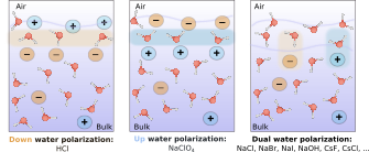 Surface stratification determines the interfacial water structure of simple electrolyte solutions