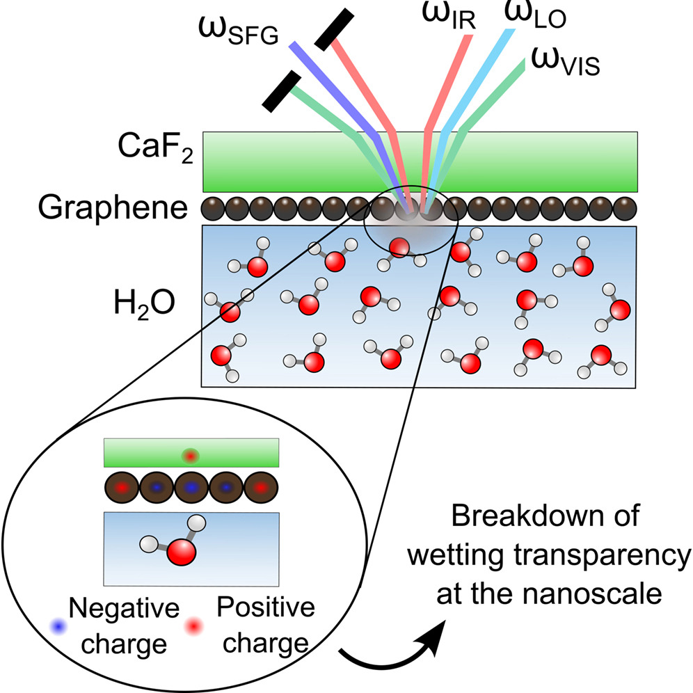 Wetting transparency of graphene across length scales