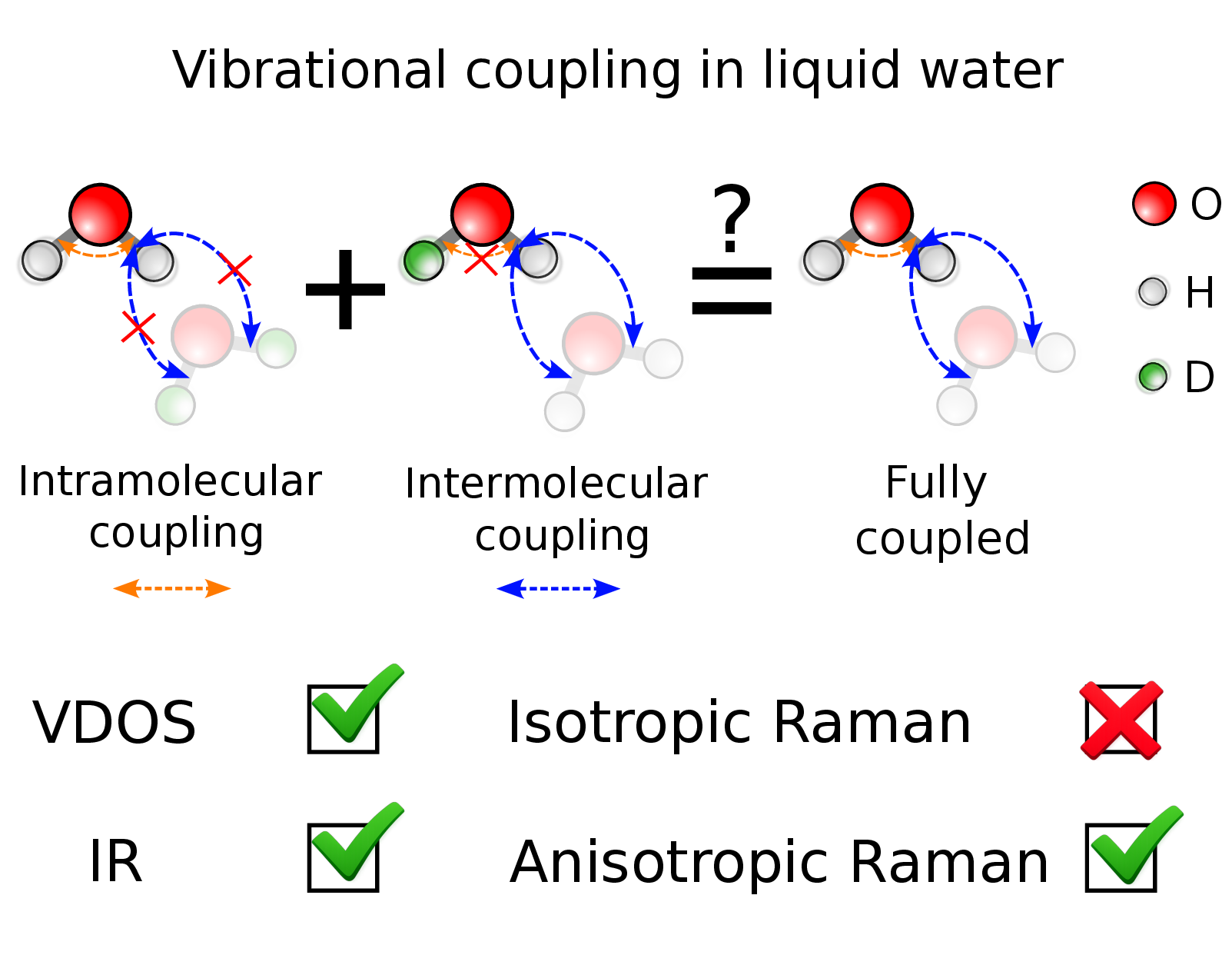 Infrared and Raman perspectives on vibrational coupling in liquid water