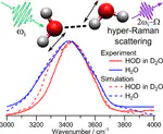Is Unified Understanding of Vibrational Coupling of Water Possible? Hyper-Raman Measurement and Machine Learning Spectra